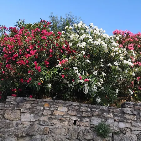 فيلة Child-friendly With Private Pool Salazac