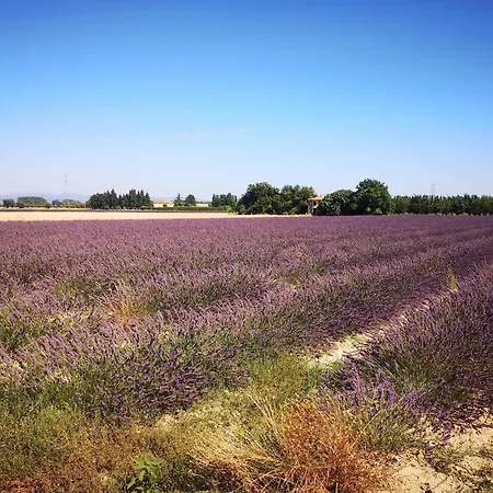 Child-friendly With Private Pool *