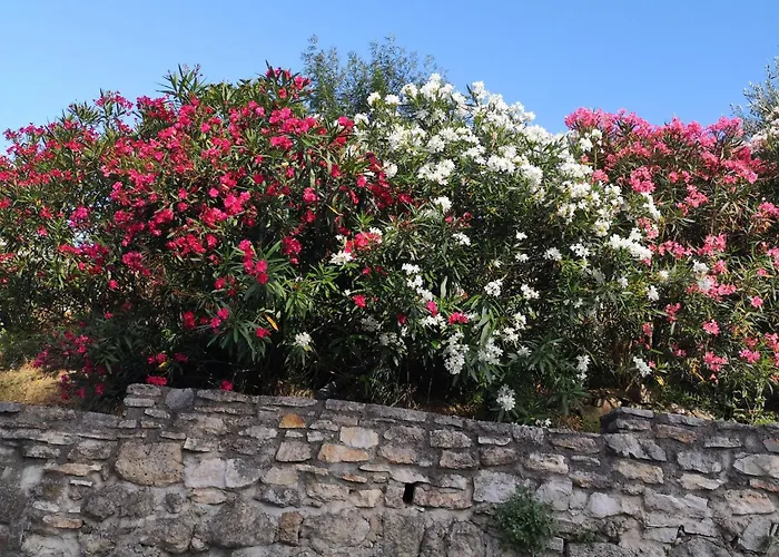 Willa Child-friendly With Private Pool Salazac