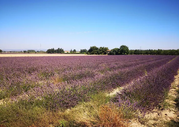 Child-friendly With Private Pool *
